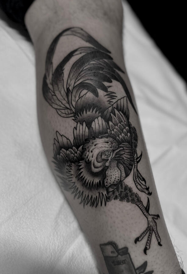 Untitled Untitled